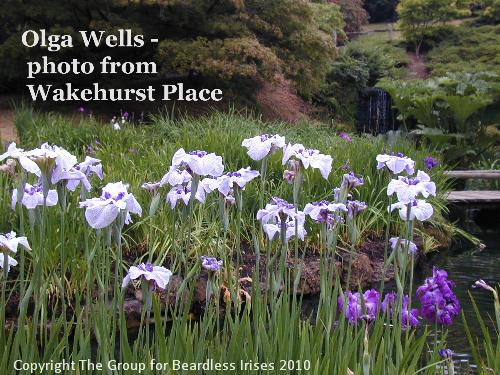 Olga Wells - photo from Wakehurst Place (1)
